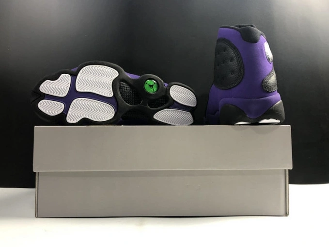 13 Purple DJ5982-015 Air Retro  Jordan Court 1006